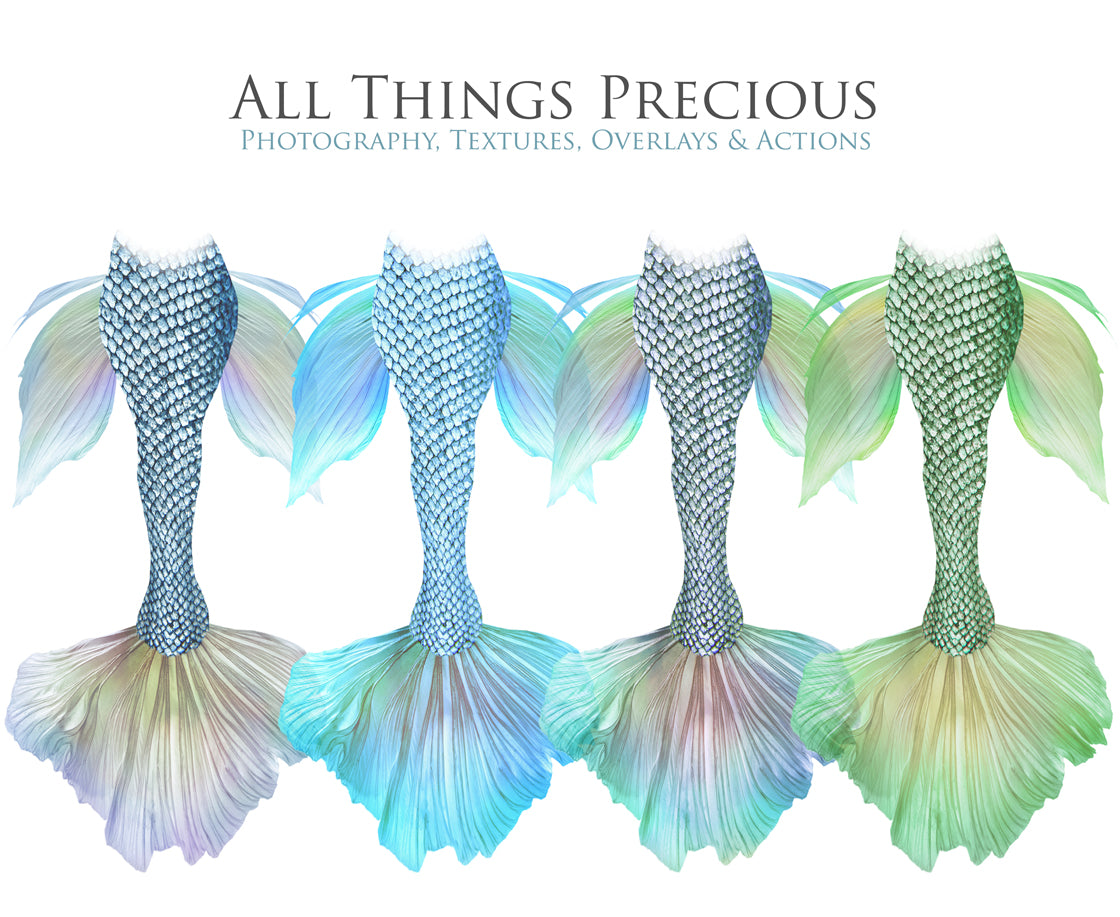 Png transparent Mermaid Tail fin overlays in colourful tints. By ATP Textures Ocean undersea digital backgrounds.